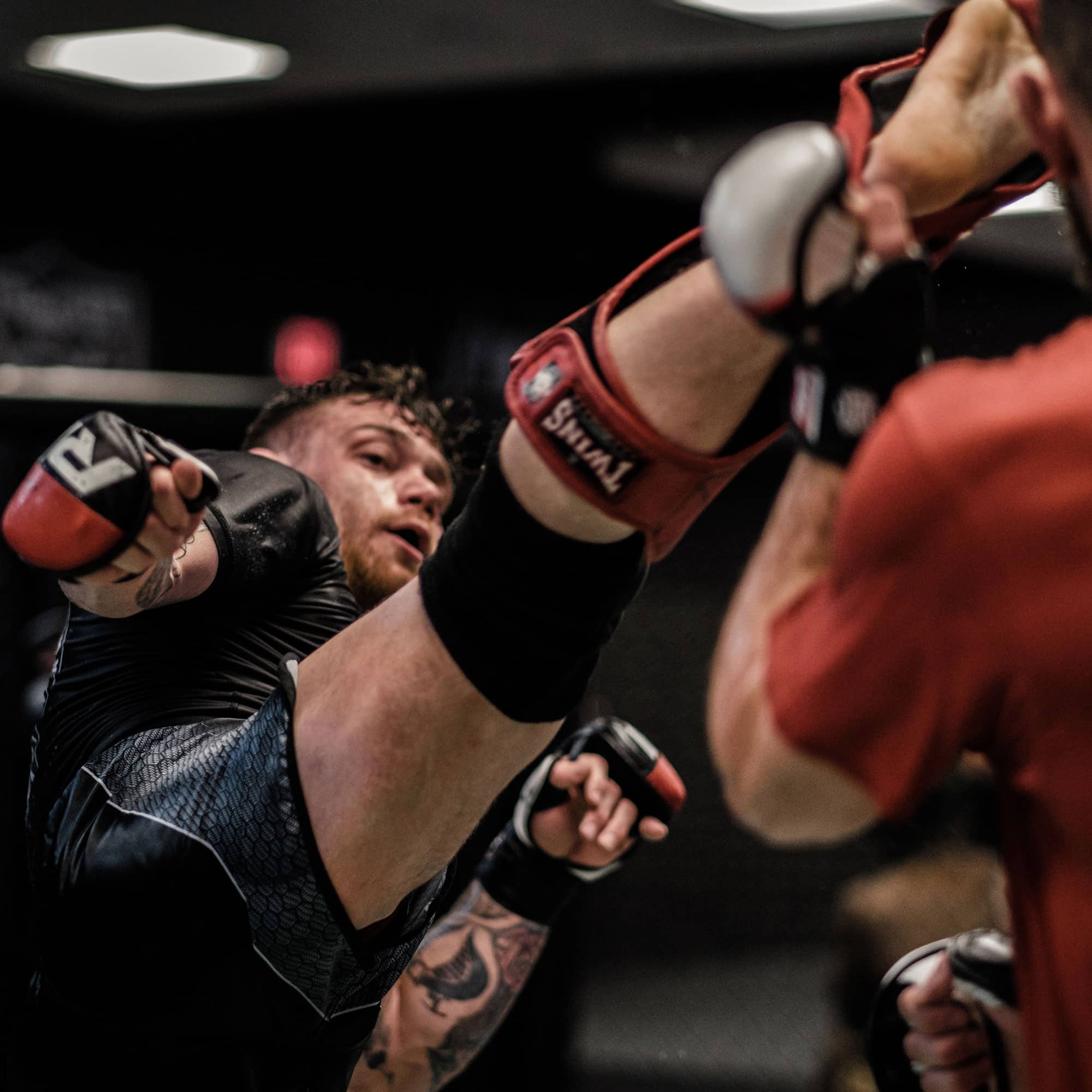 FAQ MMA Fighter